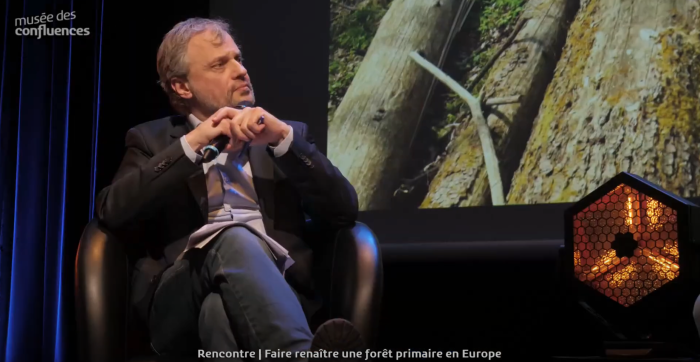 Faire renaître une forêt primaire en Europe Musée des Confluences