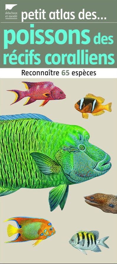 Petit atlas des poissons des récifs coraliens