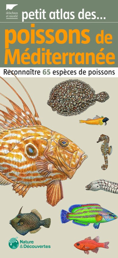 Petit atlas des poissons de Méditerranée